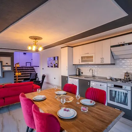 Hotel Nisa